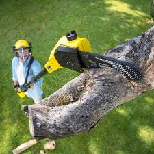 Lawn Irrigation Installation and Maintenance in Howard, WI